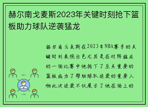 赫尔南戈麦斯2023年关键时刻抢下篮板助力球队逆袭猛龙