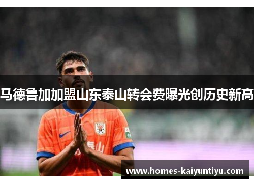 马德鲁加加盟山东泰山转会费曝光创历史新高