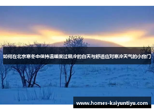 如何在北京寒冬中保持温暖度过最冷的白天与舒适应对寒冷天气的小窍门